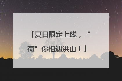夏日限定上线，“荷”你相遇洪山！