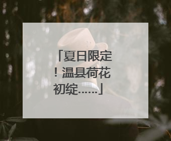 夏日限定！温县荷花初绽……