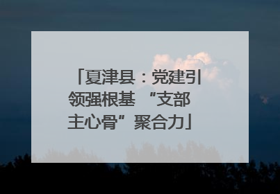 夏津县：党建引领强根基 “支部主心骨”聚合力