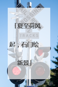 夏至荷风起，石门绘新景