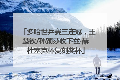 多哈世乒赛三连冠，王楚钦/孙颖莎收下兹·赫杜塞克杯复刻奖杯