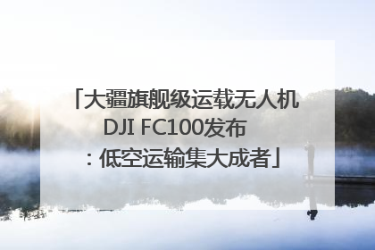大疆旗舰级运载无人机DJI FC100发布：低空运输集大成者