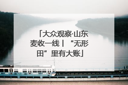 大众观察·山东麦收一线丨“无形田”里有大账