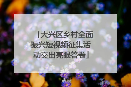 大兴区乡村全面振兴短视频征集活动交出亮眼答卷