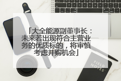 大全能源副董事长：未来若出现符合主营业务的优质标的，将审慎考虑并购机会