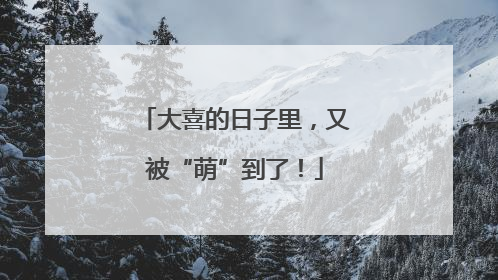 大喜的日子里，又被“萌”到了！
