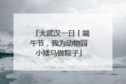 大武汉一日丨端午节，我为动物园小矮马做粽子