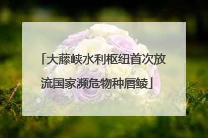 大藤峡水利枢纽首次放流国家濒危物种唇鲮