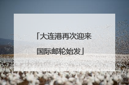 大连港再次迎来国际邮轮始发