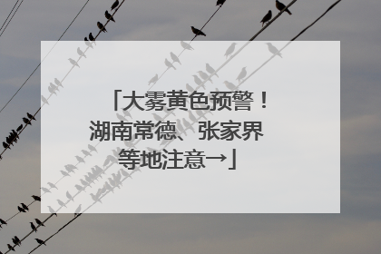 大雾黄色预警！湖南常德、张家界等地注意→