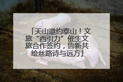 天山邀约泰山！文旅“西引力”催生文旅合作签约，鲁新共绘丝路诗与远方
