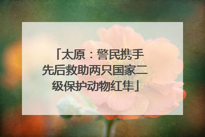 太原：警民携手 先后救助两只国家二级保护动物红隼