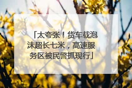 太夸张！货车载泡沫超长七米，高速服务区被民警抓现行