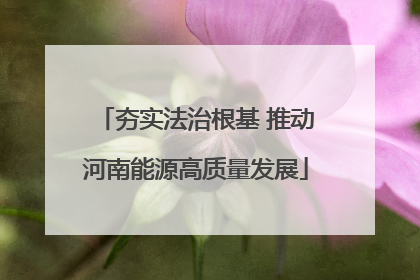 夯实法治根基 推动河南能源高质量发展