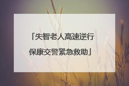 失智老人高速逆行 保康交警紧急救助