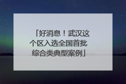 好消息！武汉这个区入选全国首批综合类典型案例