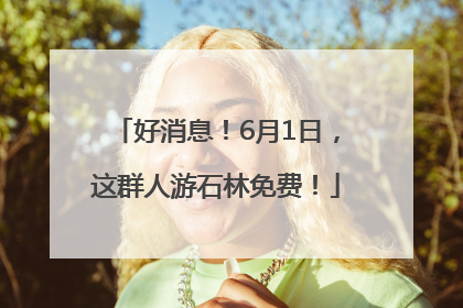 好消息！6月1日，这群人游石林免费！