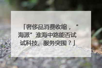 奢侈品消费收缩，“海派”淮海中路能否试试科技、服务突围？