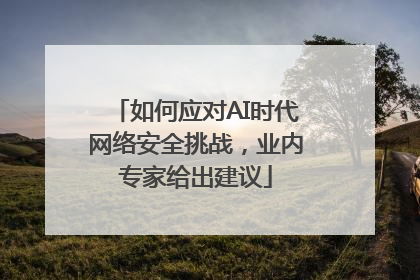 如何应对AI时代网络安全挑战，业内专家给出建议