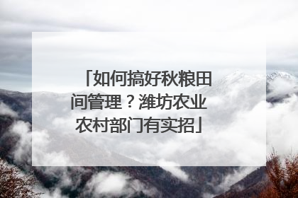 如何搞好秋粮田间管理？潍坊农业农村部门有实招