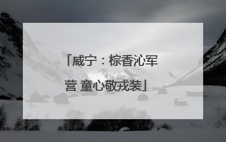 威宁：棕香沁军营 童心敬戎装