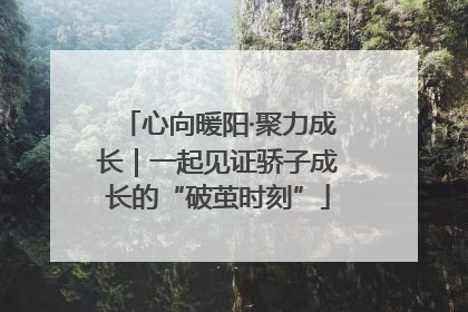 心向暖阳·聚力成长｜一起见证骄子成长的“破茧时刻”