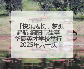 快乐成长，梦想起航 绵阳市盐亭华宸英才学校举行2025年六一庆祝活动