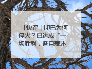 快评｜印巴为何停火？已达成“一场胜利，各自表述”的效果