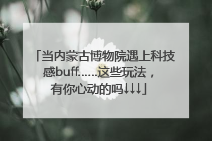 当内蒙古博物院遇上科技感buff……这些玩法，有你心动的吗↓↓↓