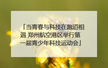 当青春与科技在跑道相遇 郑州航空港区举行第一届青少年科技运动会
