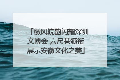 徽风皖韵闪耀深圳文博会 六尺巷领衔展示安徽文化之美