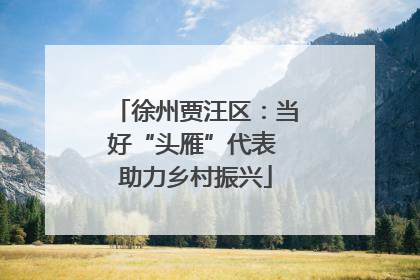 徐州贾汪区：当好“头雁”代表 助力乡村振兴
