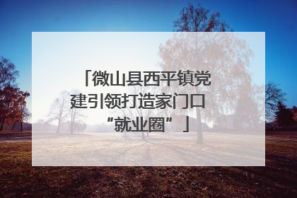 微山县西平镇党建引领打造家门口“就业圈”