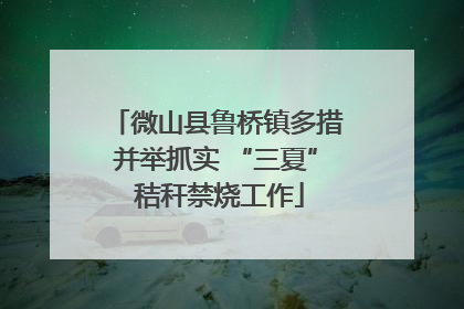 微山县鲁桥镇多措并举抓实 “三夏” 秸秆禁烧工作