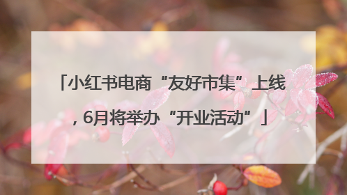 小红书电商“友好市集”上线，6月将举办“开业活动”