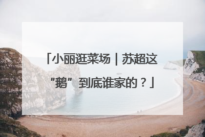 小丽逛菜场｜苏超这“鹅”到底谁家的？