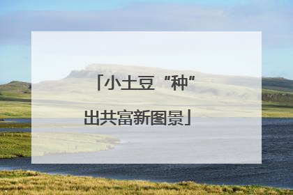 小土豆“种”出共富新图景