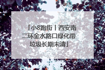 小8跑街丨西安南二环金水路口绿化带垃圾长期未清