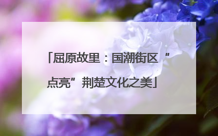 屈原故里：国潮街区“点亮”荆楚文化之美