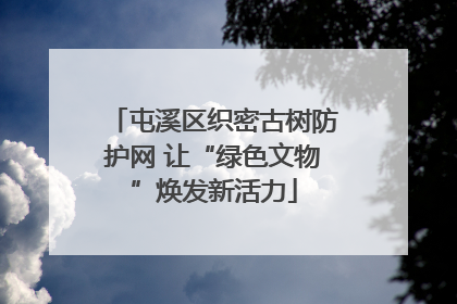 屯溪区织密古树防护网 让“绿色文物”焕发新活力