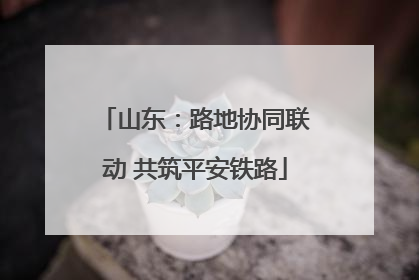 山东：路地协同联动 共筑平安铁路