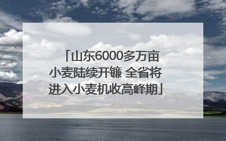 山东6000多万亩小麦陆续开镰 全省将进入小麦机收高峰期