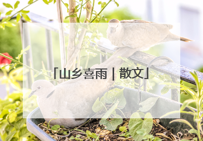 山乡喜雨｜散文