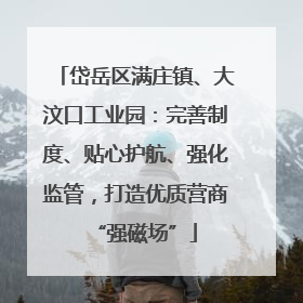 岱岳区满庄镇、大汶口工业园：完善制度、贴心护航、强化监管，打造优质营商“强磁场”