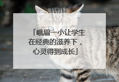 峨眉一小让学生在经典的滋养下，心灵得到成长