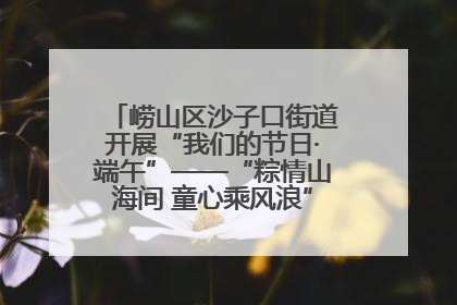 崂山区沙子口街道开展“我们的节日·端午”——“粽情山海间 童心乘风浪”文明实践活动