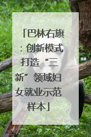 巴林右旗：创新模式 打造“三新”领域妇女就业示范样本