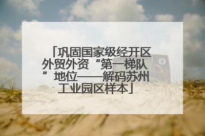 巩固国家级经开区外贸外资“第一梯队”地位——解码苏州工业园区样本