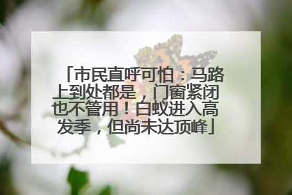 市民直呼可怕：马路上到处都是，门窗紧闭也不管用！白蚁进入高发季，但尚未达顶峰
