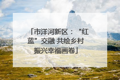 市洋河新区：“红蓝”交融 共绘乡村振兴幸福画卷